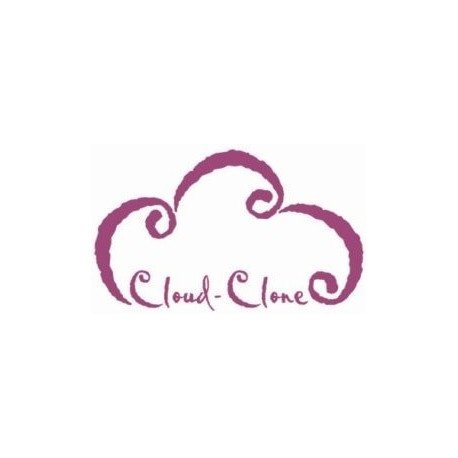 OVA Conjugated Cholic Acid (CA)