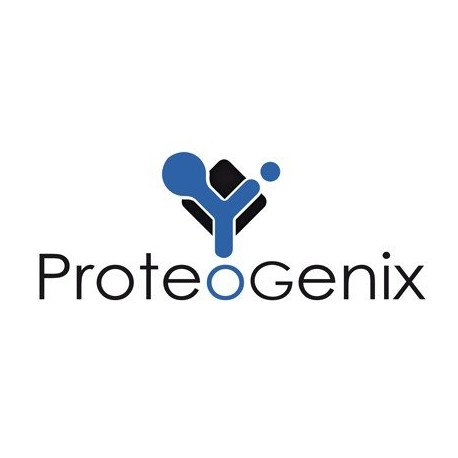 mGluR5 Polyclonal Antibody