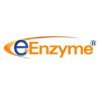 Bradykinin B1 receptor (BDKRB1) stable cell line, HEK293