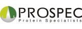 Recombinant SARS Associated Coronavirus Nucleocaspid (1-49,192-220) Protein