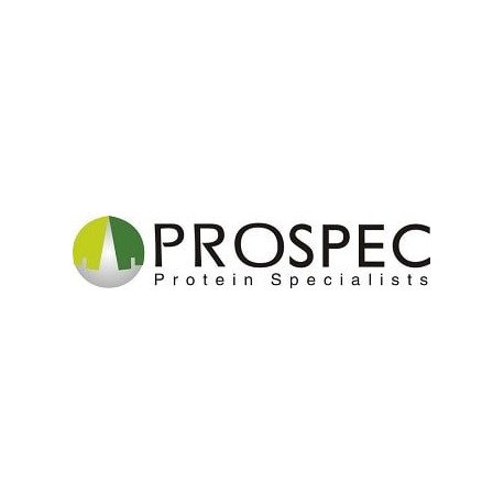 Porcine Follicle Stimulating Hormone Protein