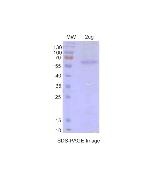 PX-P3005.jpg