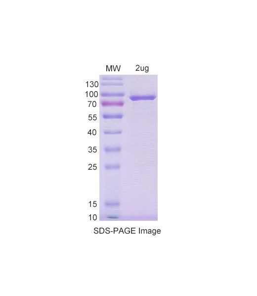 PX-P3023.jpg